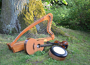 Irish-Folk-Band Spirited Ireland - Instrumente